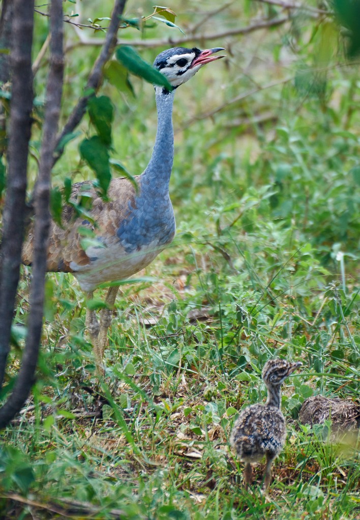 Mother and kid